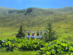 IMG-20240812-WA0014.jpg
