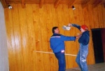 streichen6.jpg