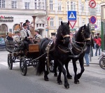 festwagen_zillertal.jpg