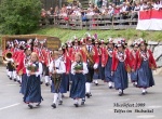 bezirksmusikfest.jpg
