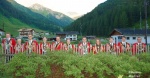 Musikausschuss (11).jpg