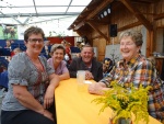 Konzert_Navis (47).JPG